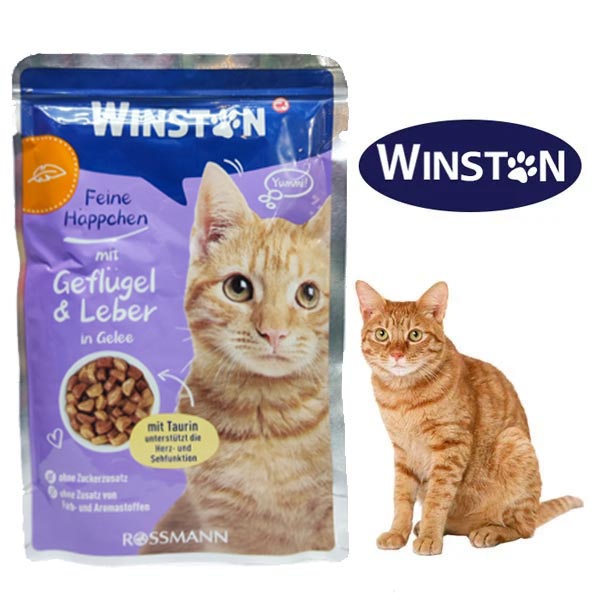 پوچ گربه وینستون طعم گوشت پرنده و جگر 100 گرم