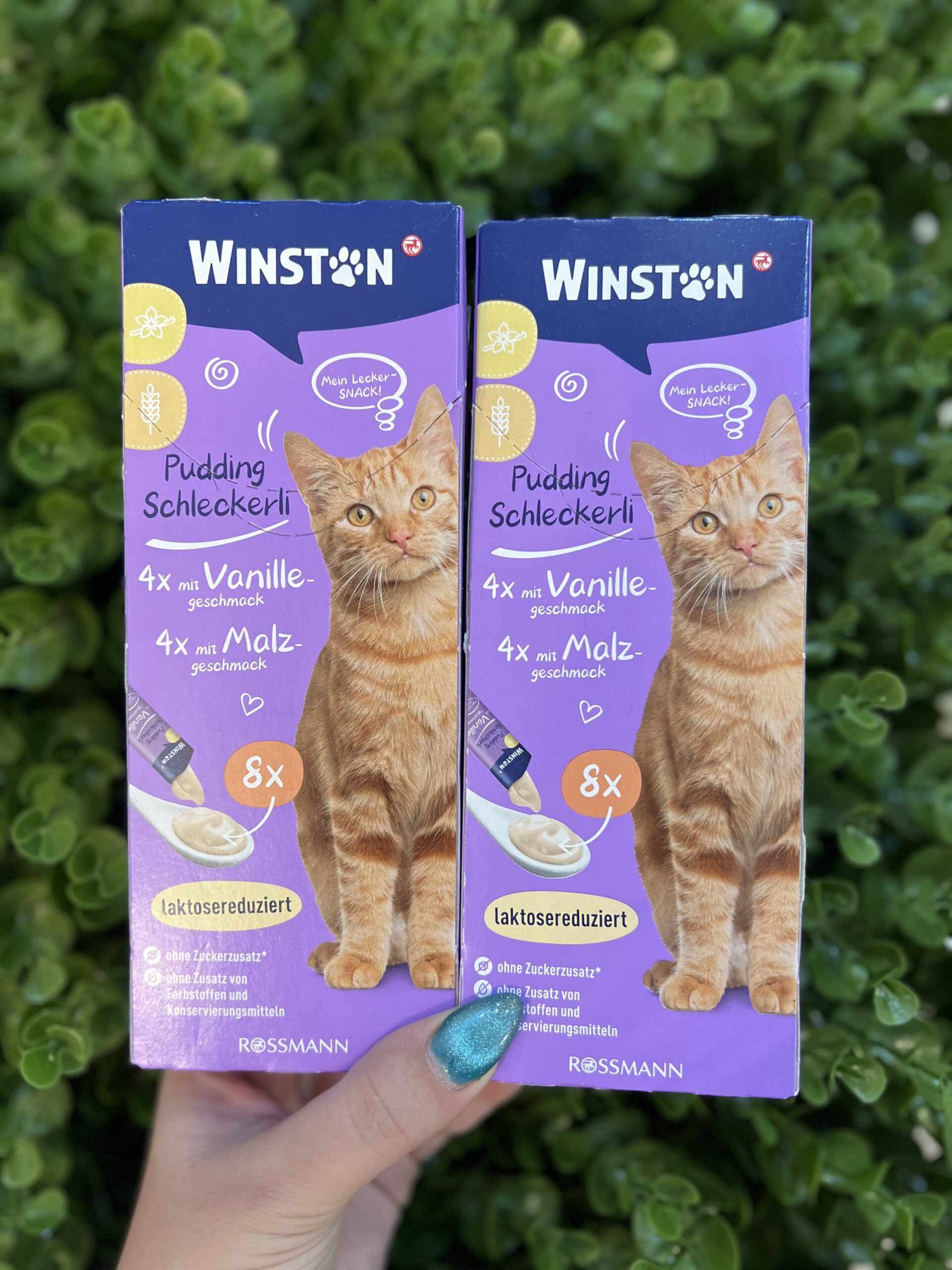 بستنی گربه وینستون مدل پودینگ وانیل و مالت بستنی وینستون طعم وانیل و مالت بدون لاکتوز - تصویر 1