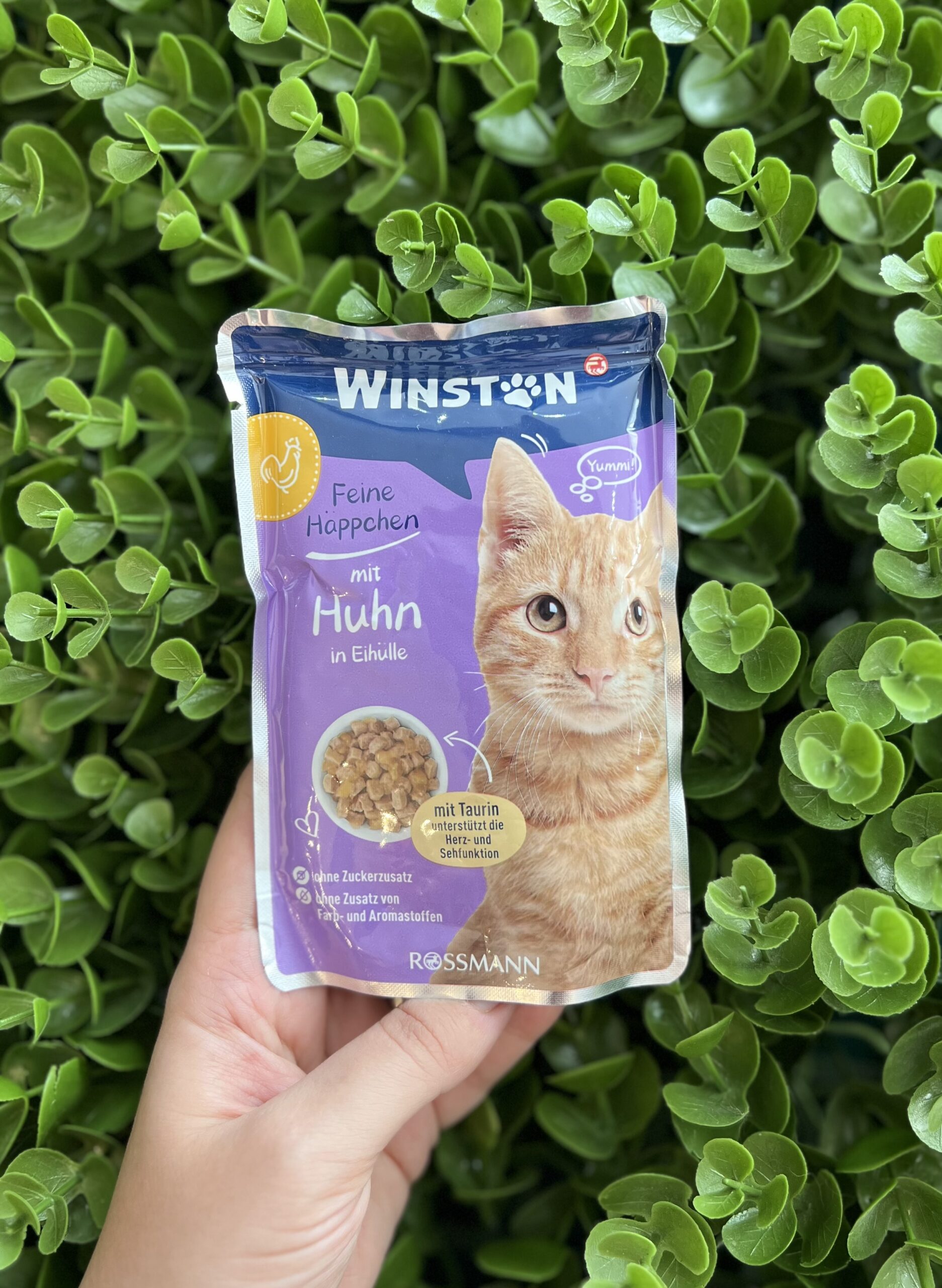 پوچ گربه وینستون مرغ و تخم مرغ پوچ گربه وینستون مرغ و تخم مرغ ۱۰۰ گرم - تصویر 1